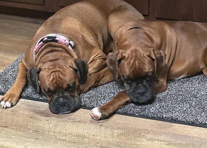 Hillside Farm B & B